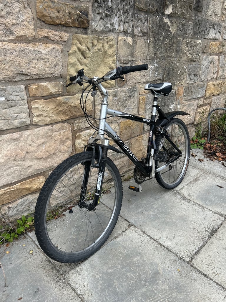 Giant brand bike 