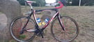 Aprire Celeste  XL 60cm Full Carbon Super Lightweight Road Bike Campagnolo Groupset