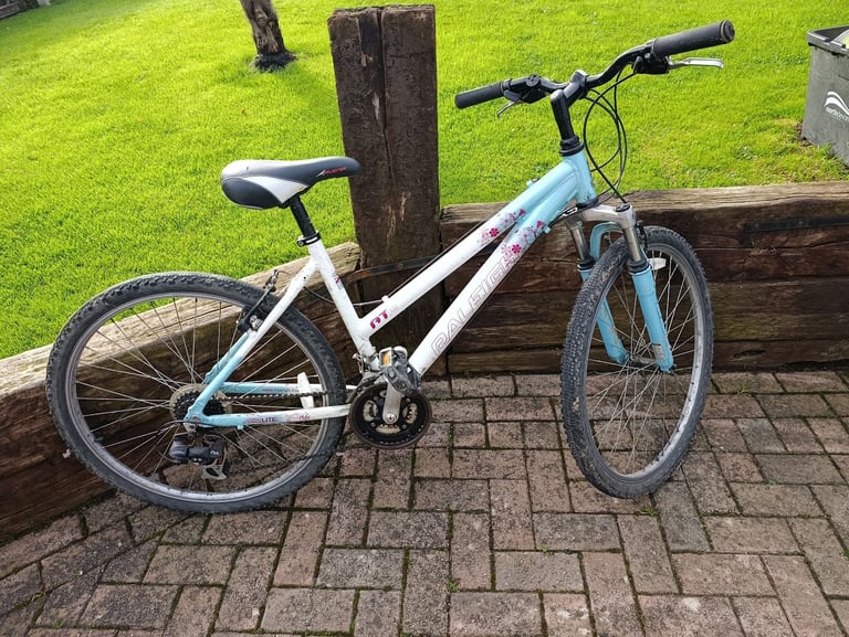 Raleigh ladies bicycle 