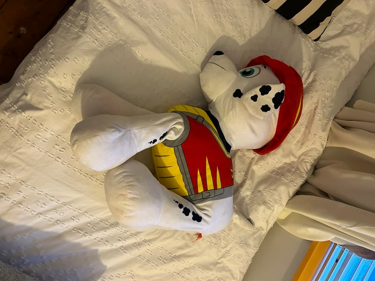 Marshall large teddy 