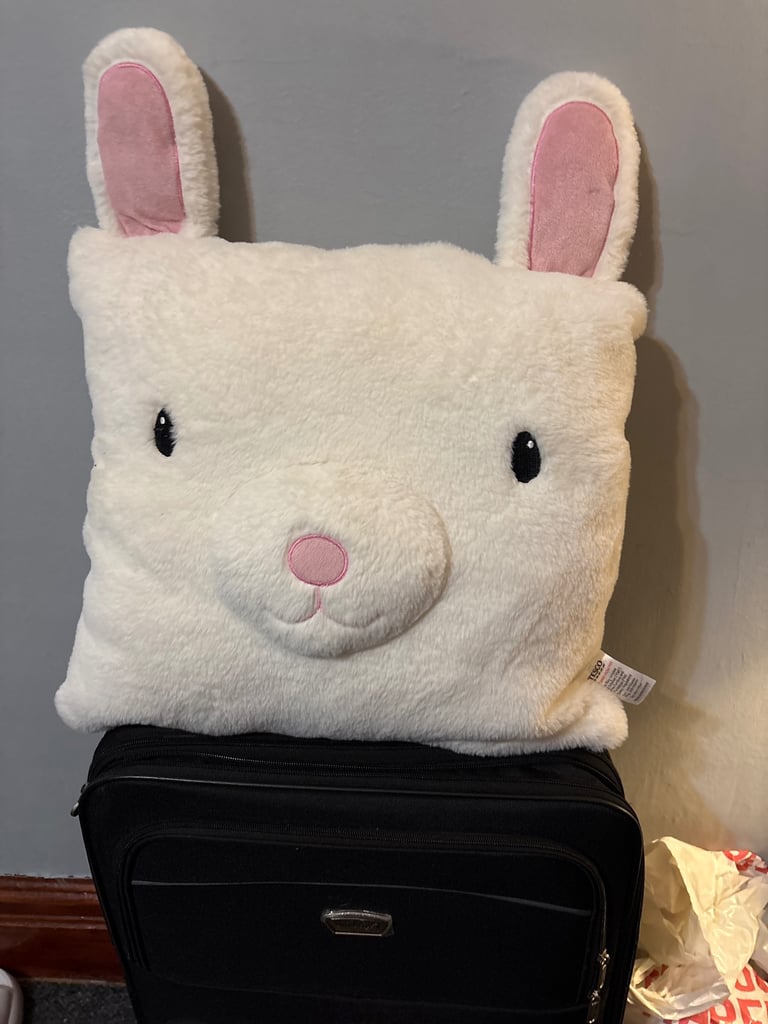 image for Beautiful cushion bunny