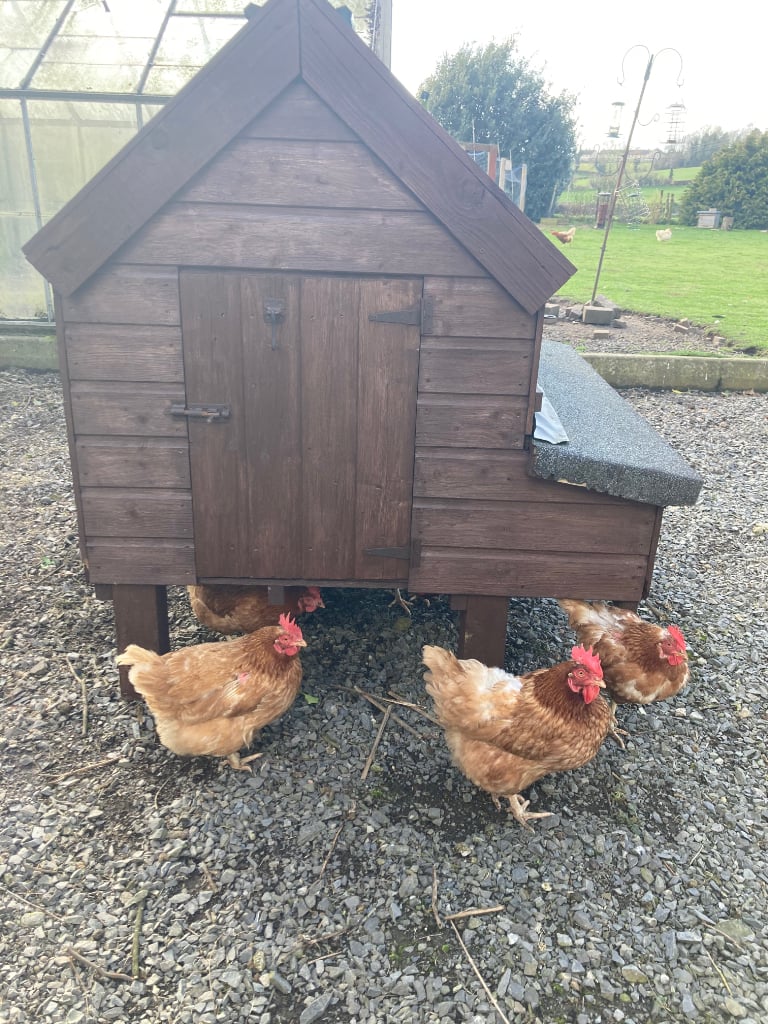 Excellent condition, heavy duty large chicken coop