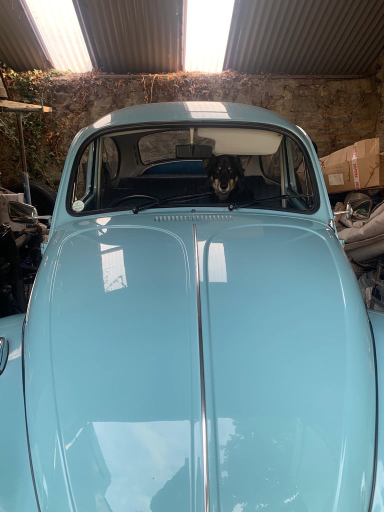 Volkswagen, 1972, 1285 (cc)