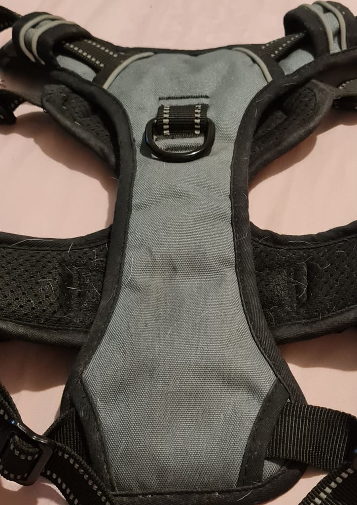 Dog Harness 