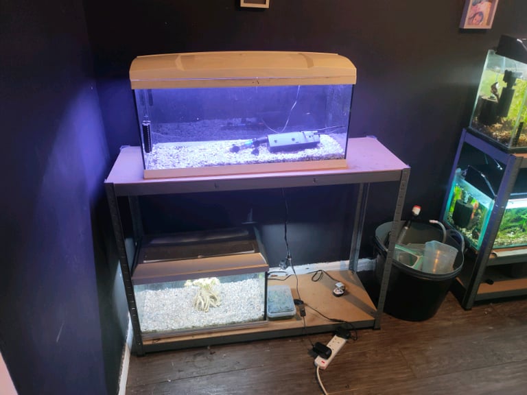 Aquarium/ fish tank/ heavy duty stand 