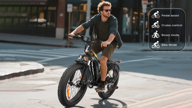 VARUN M26-2 PLUS is a rugged and powerful 26" Fat-Tire Mountain E-Bike
