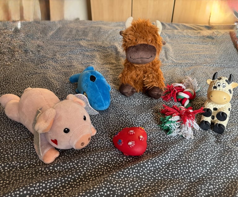 image for x6 Dog Toys
