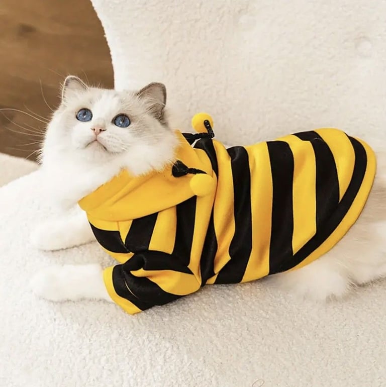  Cute Bee Hoodie Costume For Pets Cats And Dogs-Size L
