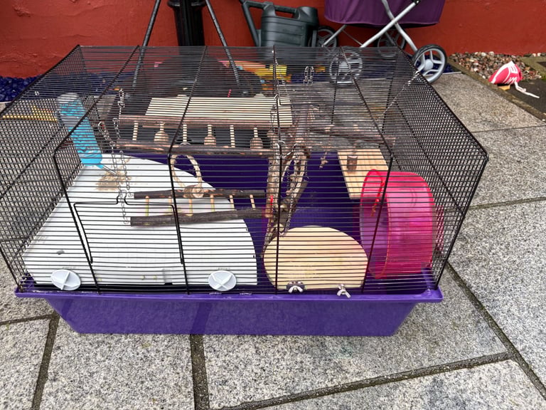 Hamster cage and accessories 