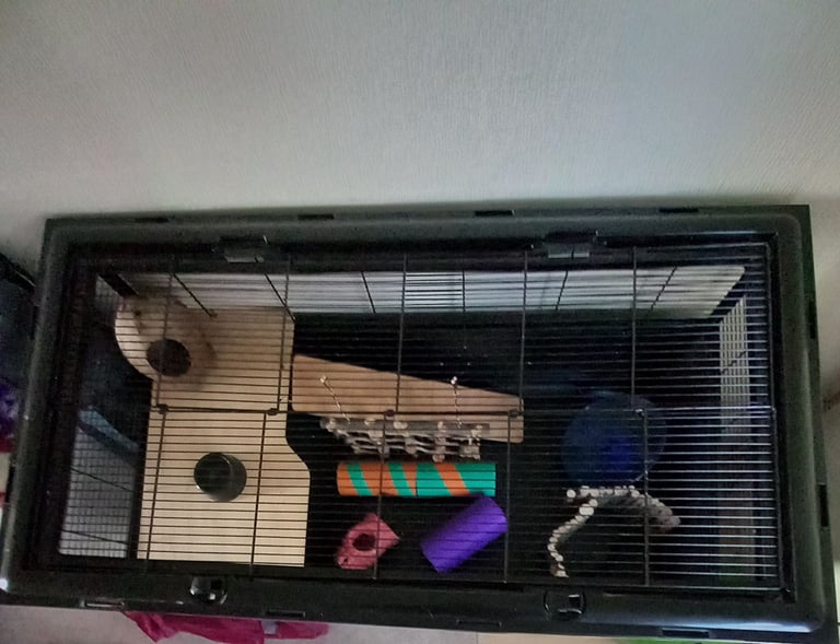 Hamster Cage