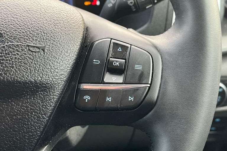 2025 Ford Transit 2.0 EcoBlue 170ps H2 Limited Van PANEL VAN DIESEL Manual