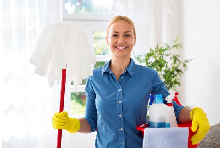 Private domestic cleaner
