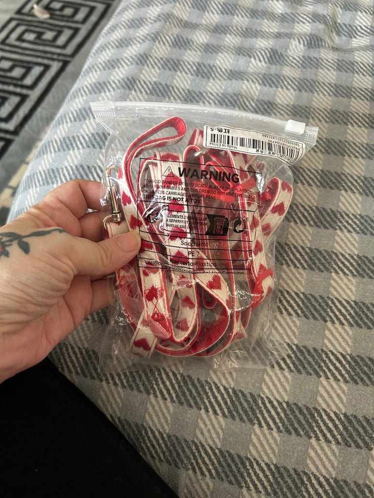 Dog collar and lead 