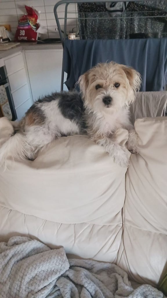image for 1,yr old little girl 