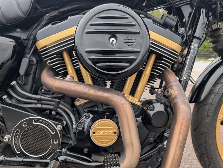 HARLEY-DAVIDSON SPORTSTER XL883N IRON