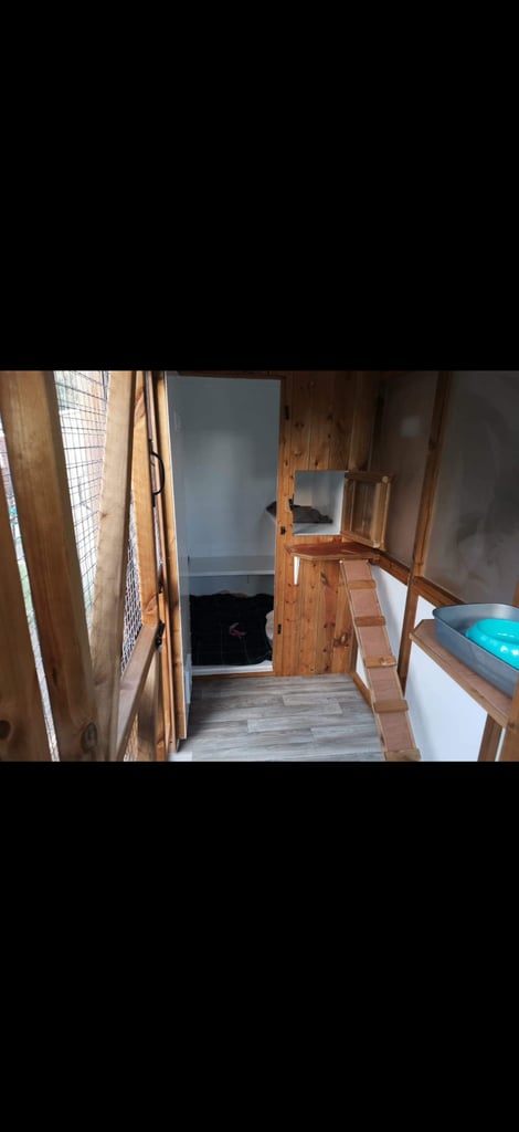 For sale Bespoke custom built cattery 