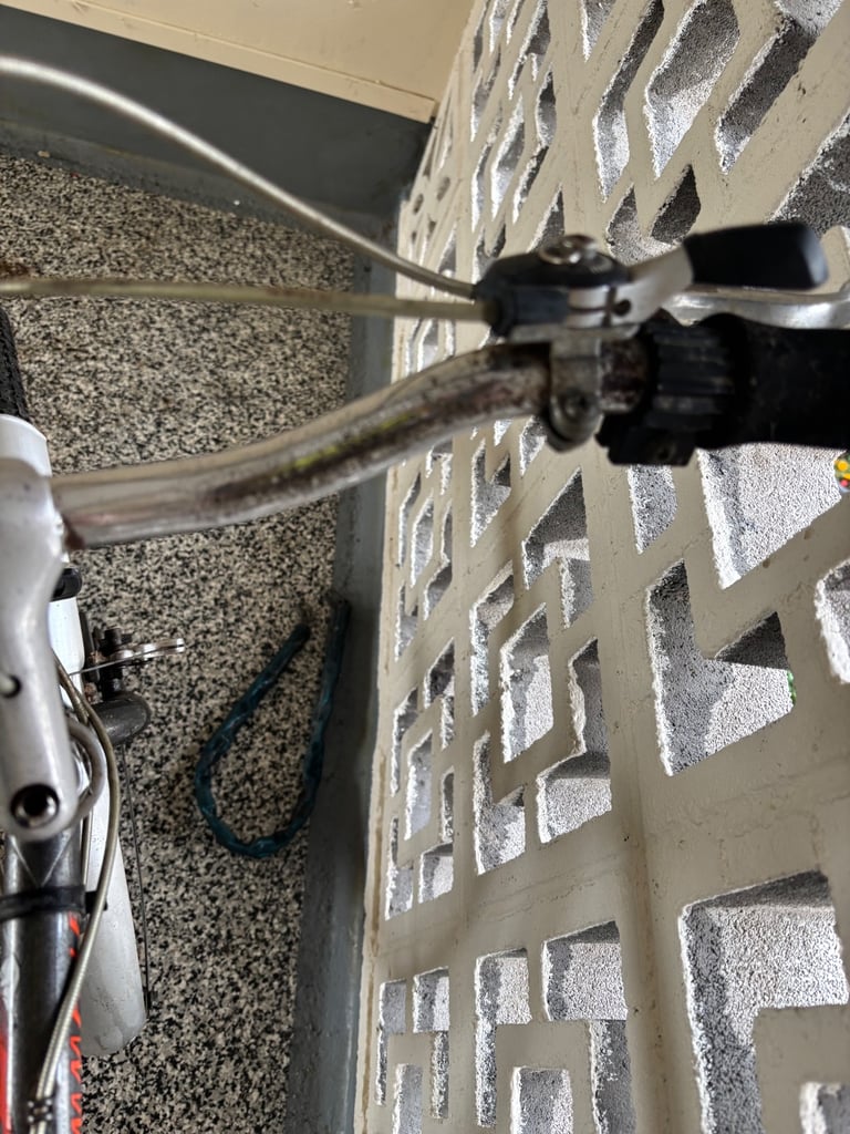 Men’s bike 