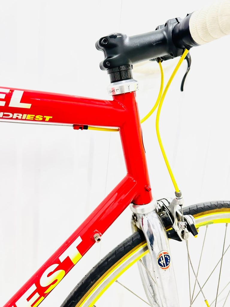 FONDRIEST Size/L Super LW Single Speed Road Bike Fully Serviced 