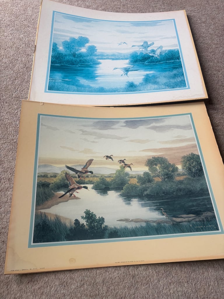 image for Charles Murphy pictures 