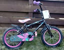 Girl children bike