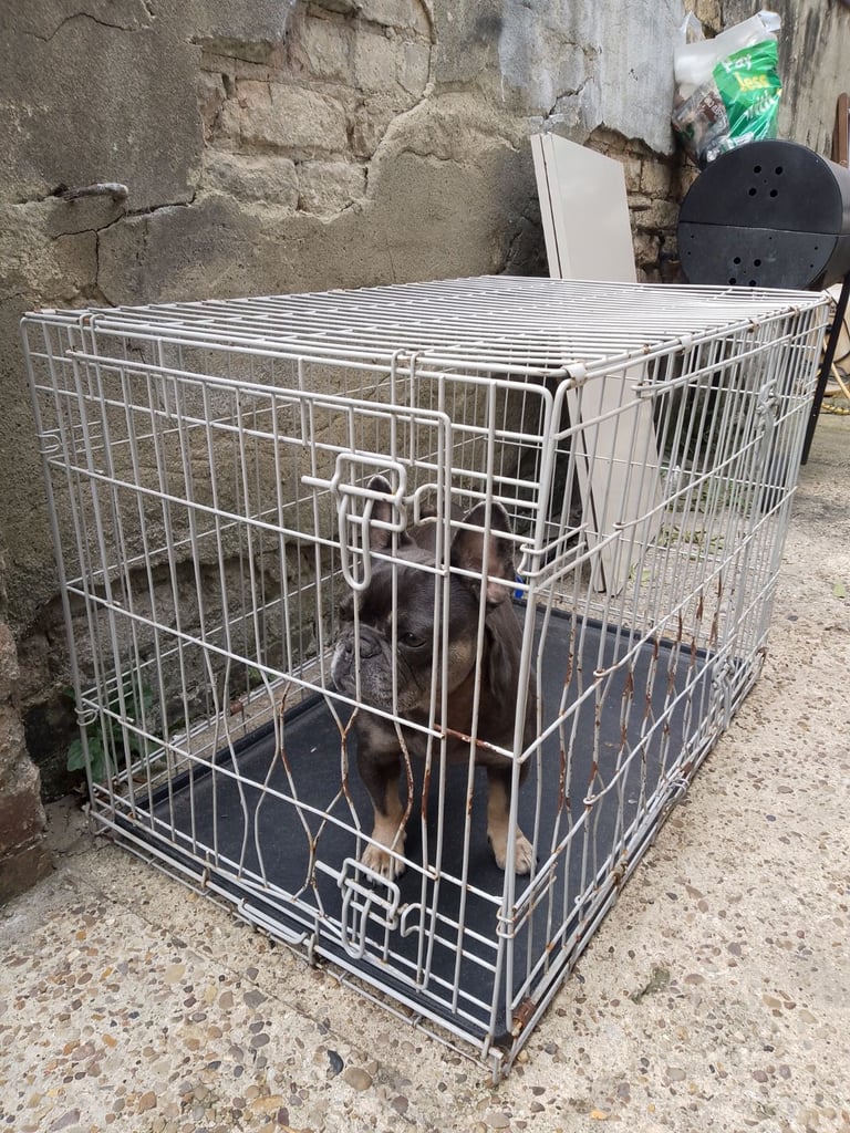 image for Dog cage 2x XL and one medium 