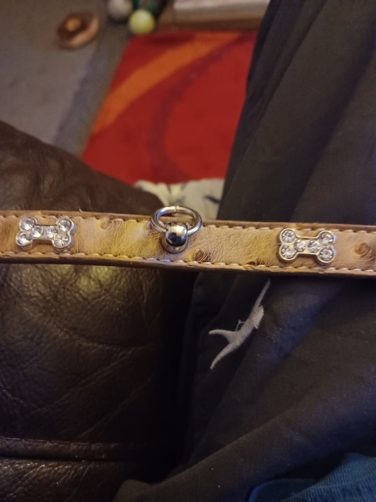DOG COLLAR - XX Small Diamante Bones