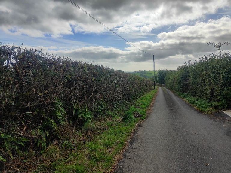 image for Tractor flail hedge cutting service 