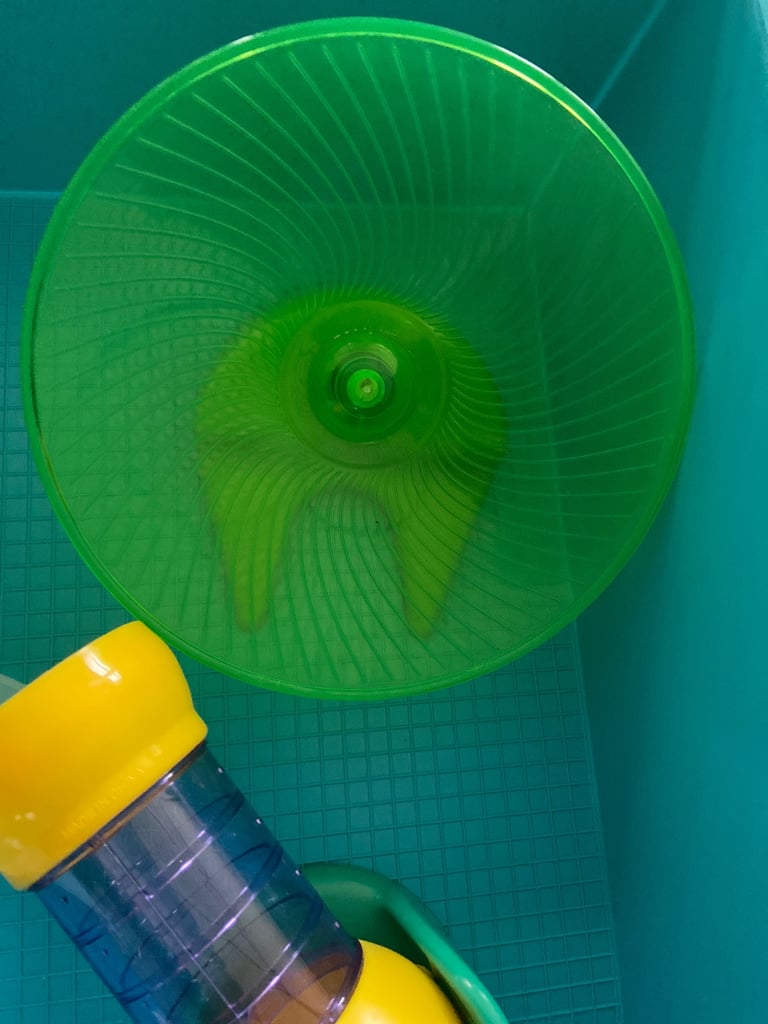 Hamster cage with extras 