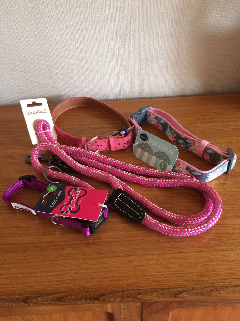 HARNESS LEAD & 3 DOG COLLARS PINK / PURPLE-NEW
