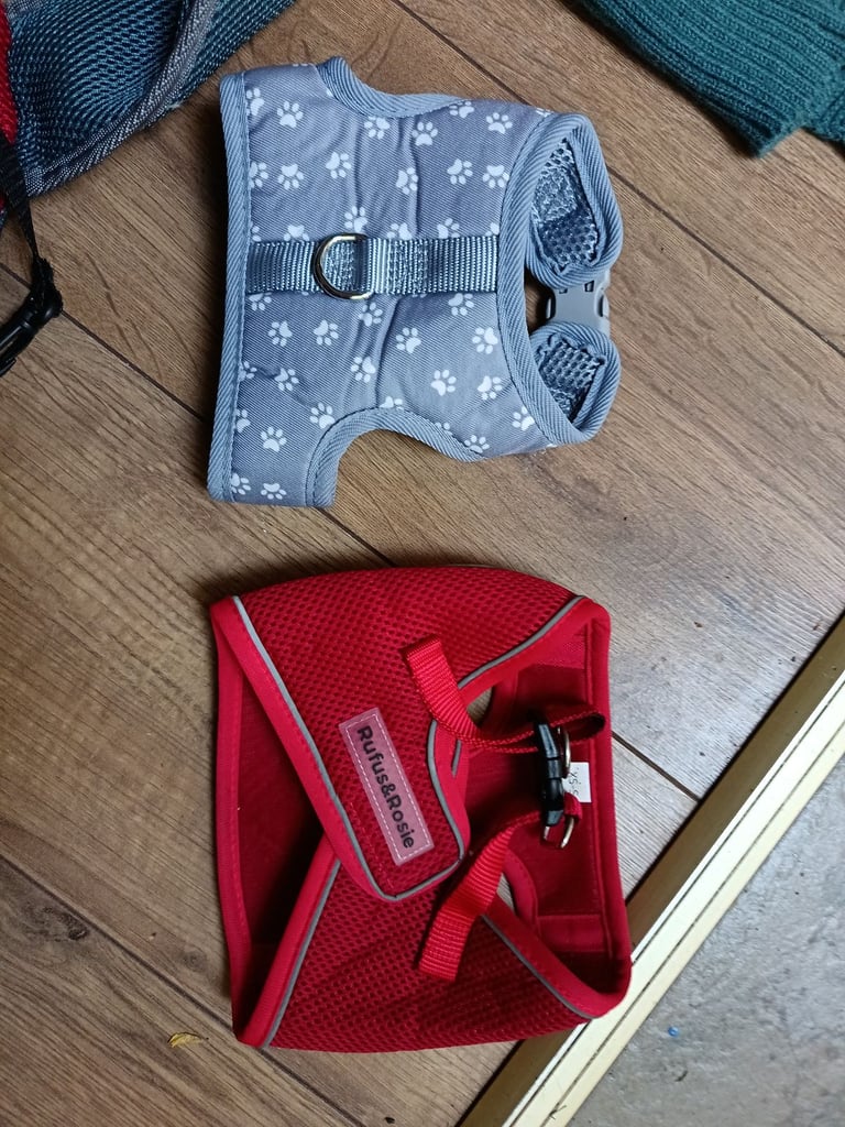 Puppy carrier and coats