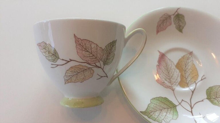 Royal Standard Fine Bone China Tea Set. Unusual pattern.