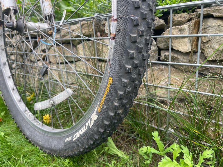 Men’s Carrera Bike