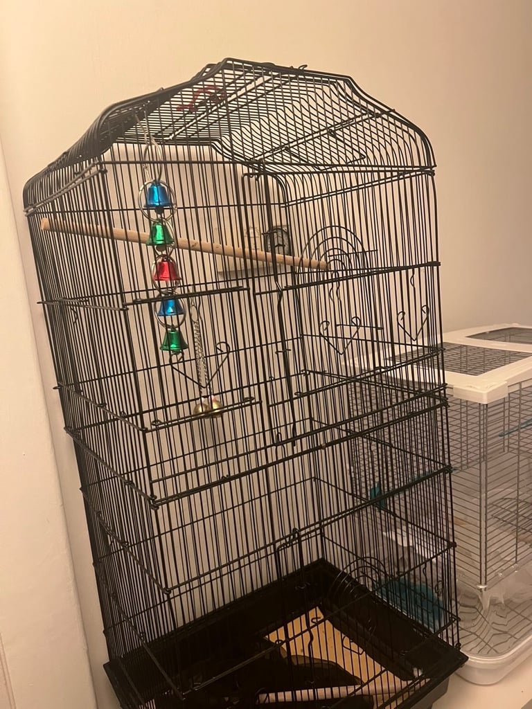 Tall bird cage 