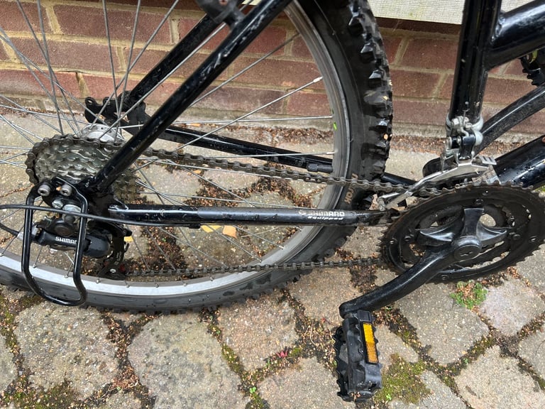 Minerva Road Bike