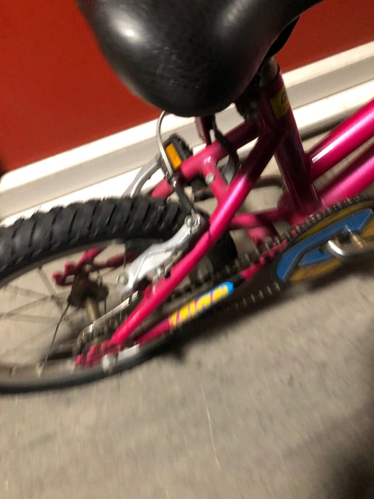 Raleigh Kids bike