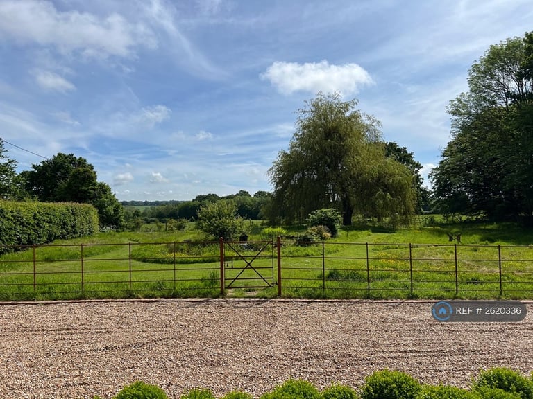 3 bedroom house in Starvecrow Lane, Peasmarsh, Rye, TN31 (3 bed) (#2620336)