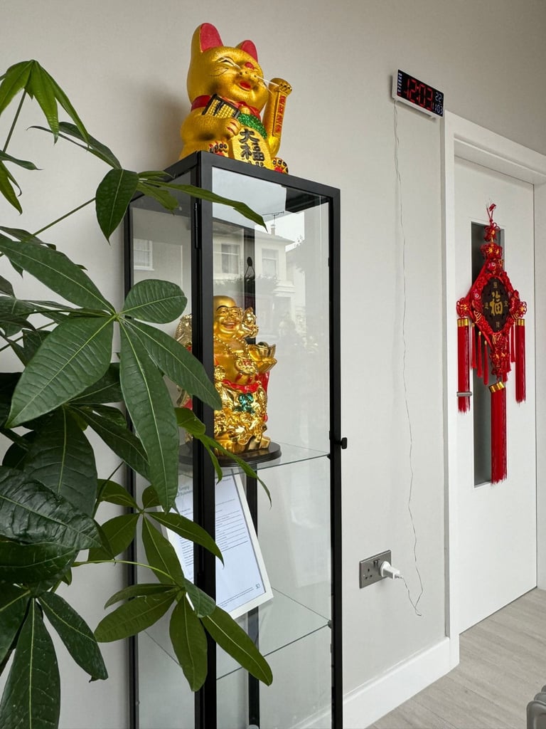 image for Venus Relaxation Therapy Centre - Chinese Massage