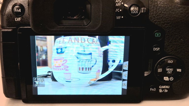 Panasonic lumix fz330 bridge camera 