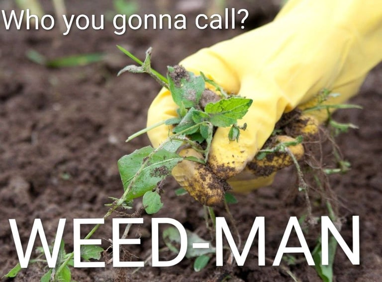 THE WEED-MAN IS HERE!