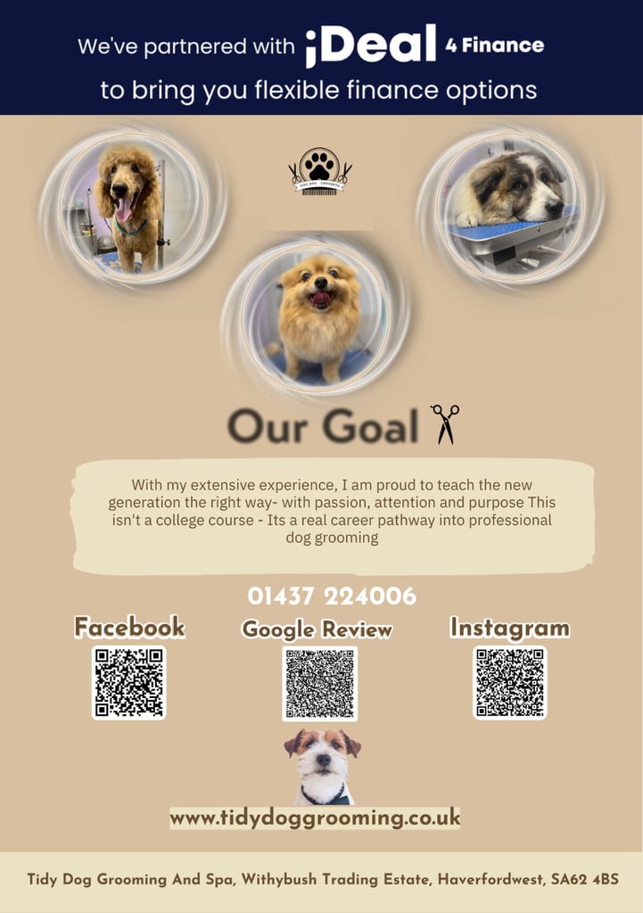 image for Exciting News from Tidy Dog! 🐾