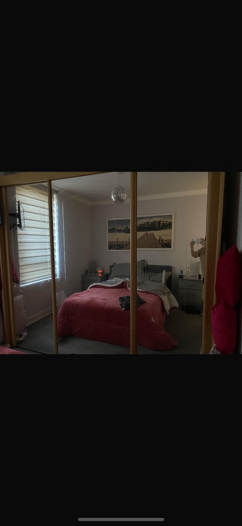 Mirror doors 