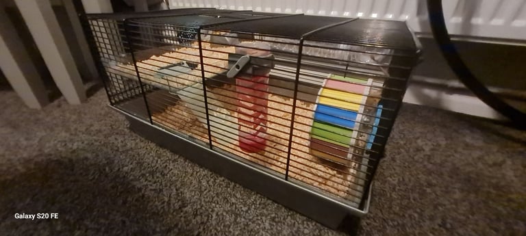 image for Hamster cage and accessories