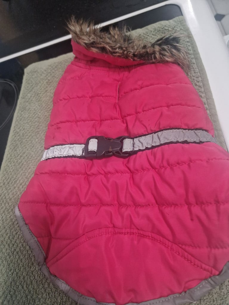 Small dog coat 