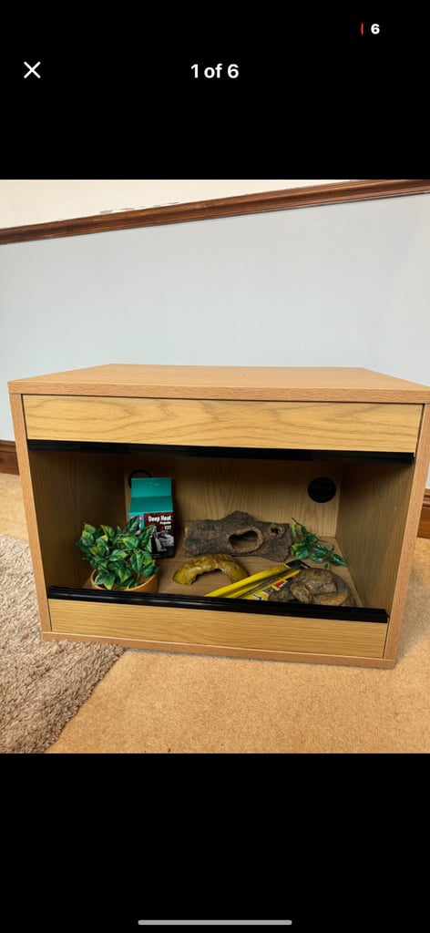 Reptile 2ft vivarium (24 x 18 inch)