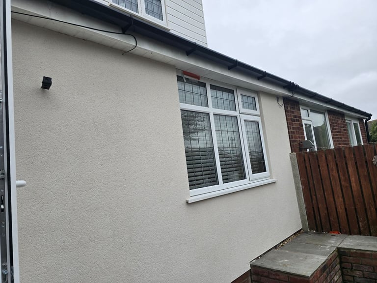 image for Base and top coat render