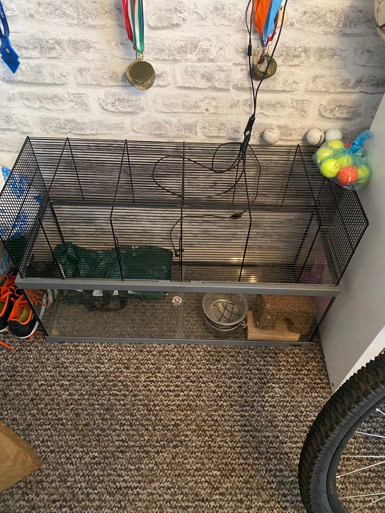 image for FREE Gerbil/Hamster cage and accessories 