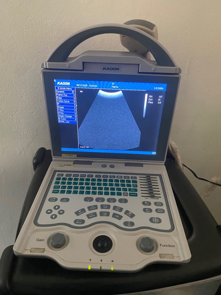 Dog and cat pregnancy scanner