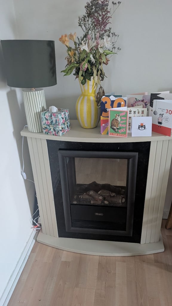 image for Dimplex fireplace 