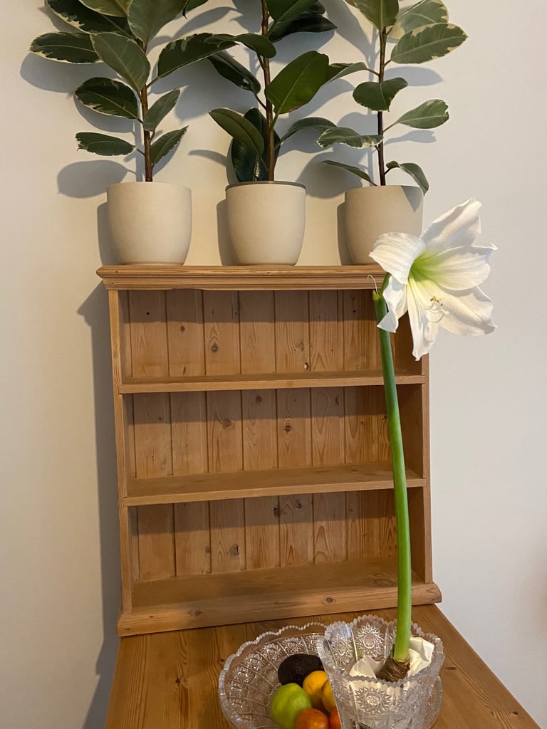 ‼️URGENT QUICK SALE pine wood  ‘ sanded’ Shelve unit 
