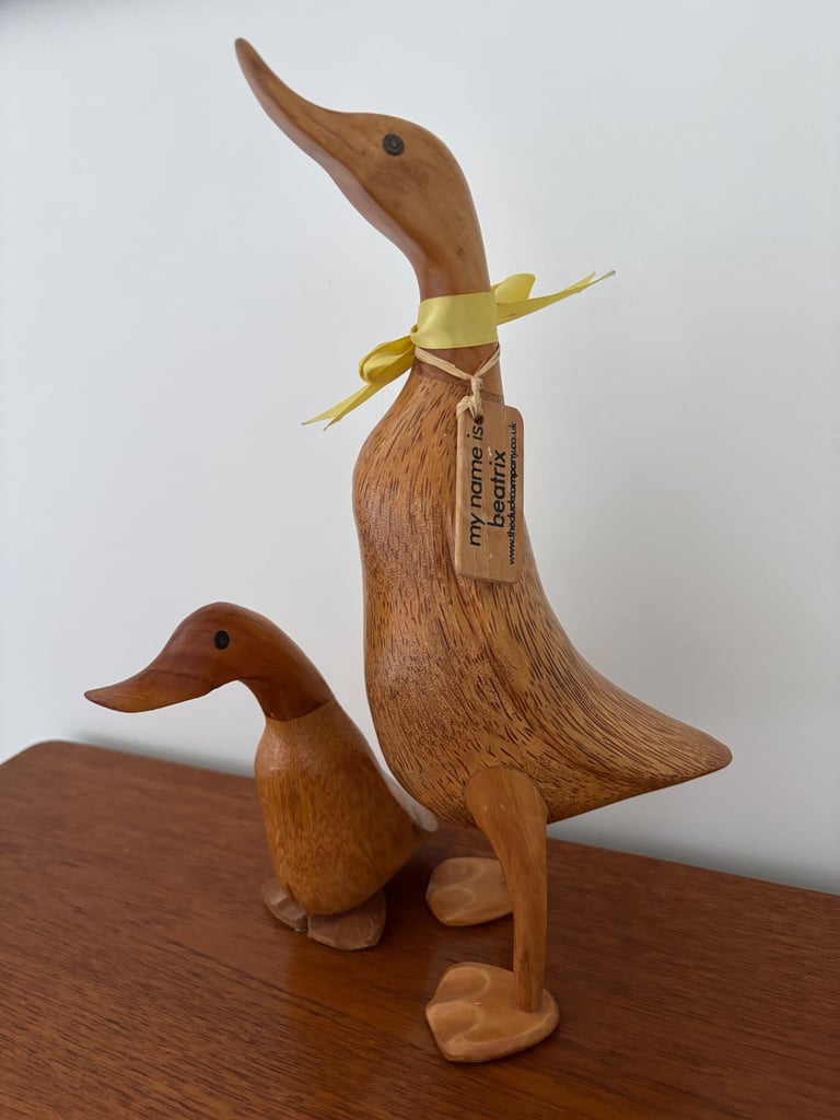 image for Wooden ducks